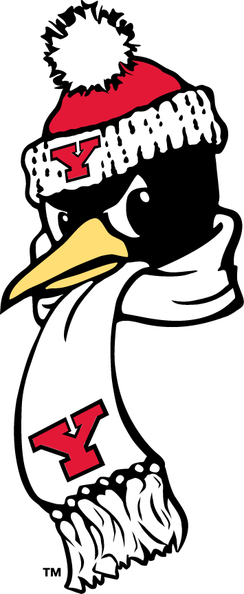 Youngstown State Penguins 1993-Pres Alternate Logo v5 diy DTF decal sticker